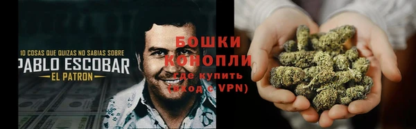 шишки Зеленодольск