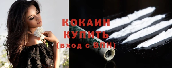 шишки Зеленодольск