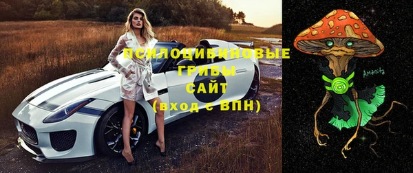 шишки Зеленодольск