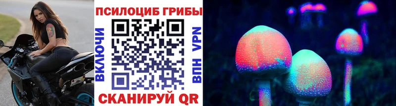 закладка Свирск Галлюциногенные грибы GOLDEN TEACHER